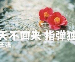 秋天不回来 指弹独奏吉他谱_王强_G调_原版指弹吉他简谱