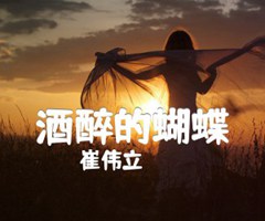 酒醉的蝴蝶吉他谱_崔伟立_G调_原版弹唱吉他简谱