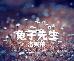 兔子先生吉他谱_洛天依_原版指弹吉他简谱