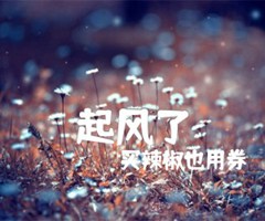 起风了吉他谱_买辣椒也用券_F调_原版指弹吉他简谱