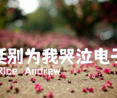 阿根廷别为我哭泣电子琴谱吉他谱_Tim  Rice   Andrew_原版指弹吉他简谱