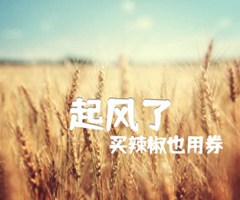 起风了吉他谱_买辣椒也用券_A调_原版指弹吉他简谱