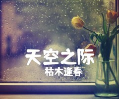 天空之际吉他谱_枯木逢春_C调_原版指弹吉他简谱