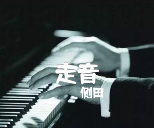 走音吉他谱_侧田_文字谱简谱歌词