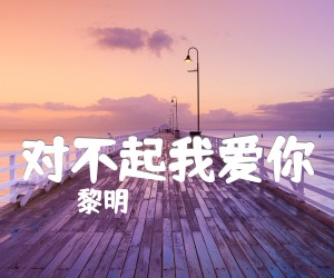 对不起我爱你吉他谱_黎明_C调_文字谱简谱歌词