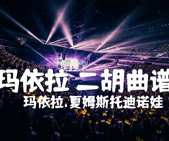 玛依拉 二胡曲谱吉他谱_玛依拉 夏姆斯托迪诺娃_D调_原版指弹吉他简谱