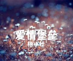 爱情堡垒吉他谱_杨小壮_C调_原版指弹吉他简谱