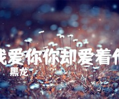 我爱你你却爱着他吉他谱_黑龙_G调_原版弹唱吉他简谱