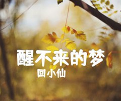 醒不来的梦吉他谱_回小仙_G调_原版指弹吉他简谱