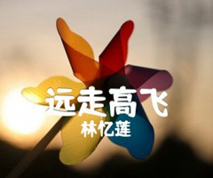 远走高飞吉他谱_林忆莲_原版弹唱吉他简谱