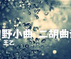 田野小曲  二胡曲谱吉他谱_王乙_原版指弹吉他简谱