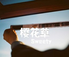 樱花草吉他谱_Sweety_C调_原版指弹吉他简谱