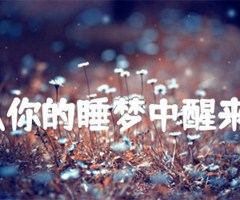 别让我从你的睡梦中醒来（吉他谱）吉他谱_怒雪_原版弹唱吉他简谱