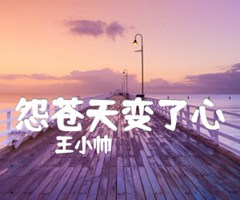 《怨苍天变了心吉他谱》_王小帅_G调_吉他图片谱3张