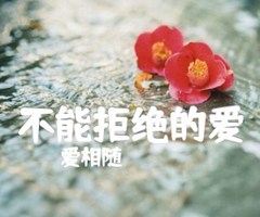 不能拒绝的爱吉他谱_爱相随_原版弹唱吉他简谱