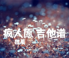 疯人愿 吉他谱吉他谱_魏晨_原版指弹吉他简谱