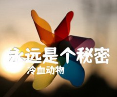 永远是个秘密吉他谱_冷血动物_原版弹唱吉他简谱