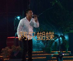 两只蝴蝶吉他谱_庞龙_F调_原版指弹吉他简谱