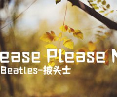 Please Please Me吉他谱_Beatles-披头士_原版弹唱吉他简谱