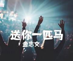 送你一匹马吉他谱_金志文_D调_原版指弹吉他简谱