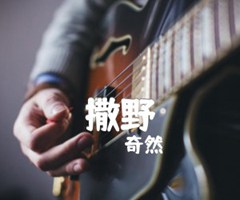 撒野吉他谱_奇然_G调_原版指弹吉他简谱