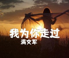 满文军 我为你走过吉他谱_满文军_D调_原版指弹吉他简谱