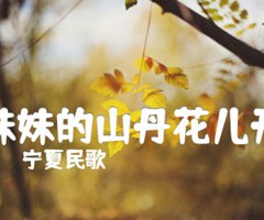 妹妹的山丹花儿开吉他谱_宁夏民歌_B调_原版指弹吉他简谱