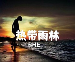 热带雨林吉他谱_SHE_C调_原版弹唱吉他简谱