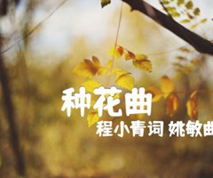 种花曲吉他谱_程小青词 姚敏曲_原版弹唱吉他简谱