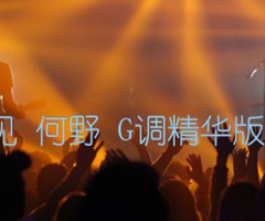 天亮以前说再见 何野 G调精华版 抖音热门歌曲吉他谱_群星_G调_原版弹唱吉他简谱