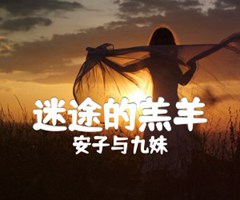 迷途的羔羊吉他谱_安子与九妹_G调_原版指弹吉他简谱