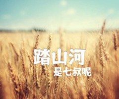 踏山河吉他谱_是七叔呢_G调_原版弹唱吉他简谱