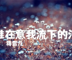 谁在意我流下的泪吉他谱_蒋雪儿_原版弹唱吉他简谱