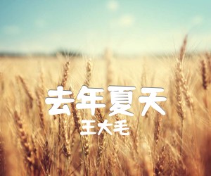 去年夏天吉他谱_王大毛_C调_原版弹唱吉他简谱