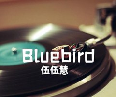 Bluebird吉他谱_伍伍慧_原版指弹吉他简谱