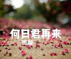 何日君再来吉他谱_周璇_B调_原版弹唱吉他简谱