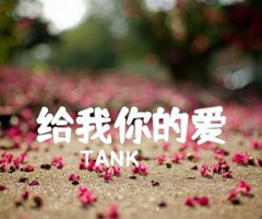 给我你的爱吉他谱_TANK_A调_原版指弹吉他简谱