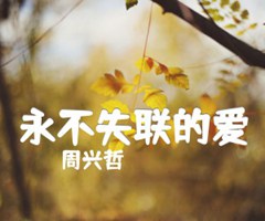 永不失联的爱吉他谱_周兴哲_G调_原版弹唱吉他简谱