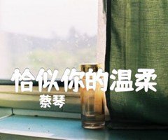 恰似你的温柔吉他谱_蔡琴_经典谱_C调_原版弹唱吉他简谱