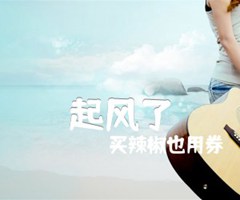 起风了吉他谱_买辣椒也用券_原版弹唱吉他简谱