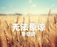 无法原谅吉他谱_李佳璐_原版弹唱吉他简谱