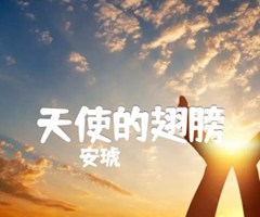 天使的翅膀吉他谱_安琥_独奏_G调_原版指弹吉他简谱