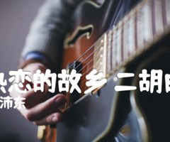 我热恋的故乡 二胡曲谱吉他谱_徐沛东_原版指弹吉他简谱