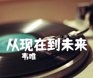 从现在到未来吉他谱_韦唯_C调_原版弹唱吉他简谱