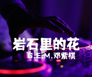 岩石里的花吉他谱_G E M 邓紫棋_G调_原版弹唱吉他简谱