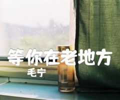 等你在老地方吉他谱_毛宁_C调_原版指弹吉他简谱