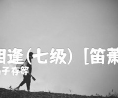 喜相逢(七级)  [笛萧谱]吉他谱_冯子存等_C调_原版弹唱吉他简谱