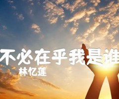 不必在乎我是谁吉他谱_林忆莲_原版指弹吉他简谱