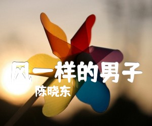 风一样的男子吉他谱_陈晓东_原版指弹吉他简谱