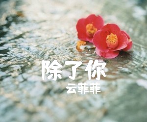 除了你吉他谱_云菲菲_原版指弹吉他简谱